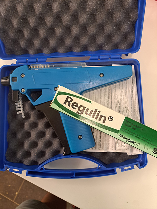 Regulin® Implants